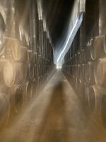 Sanlúcar de Barrameda, Jerez de la Frontera y Cádiz by #AndalucíaDespierta - Gastronomía y Moda