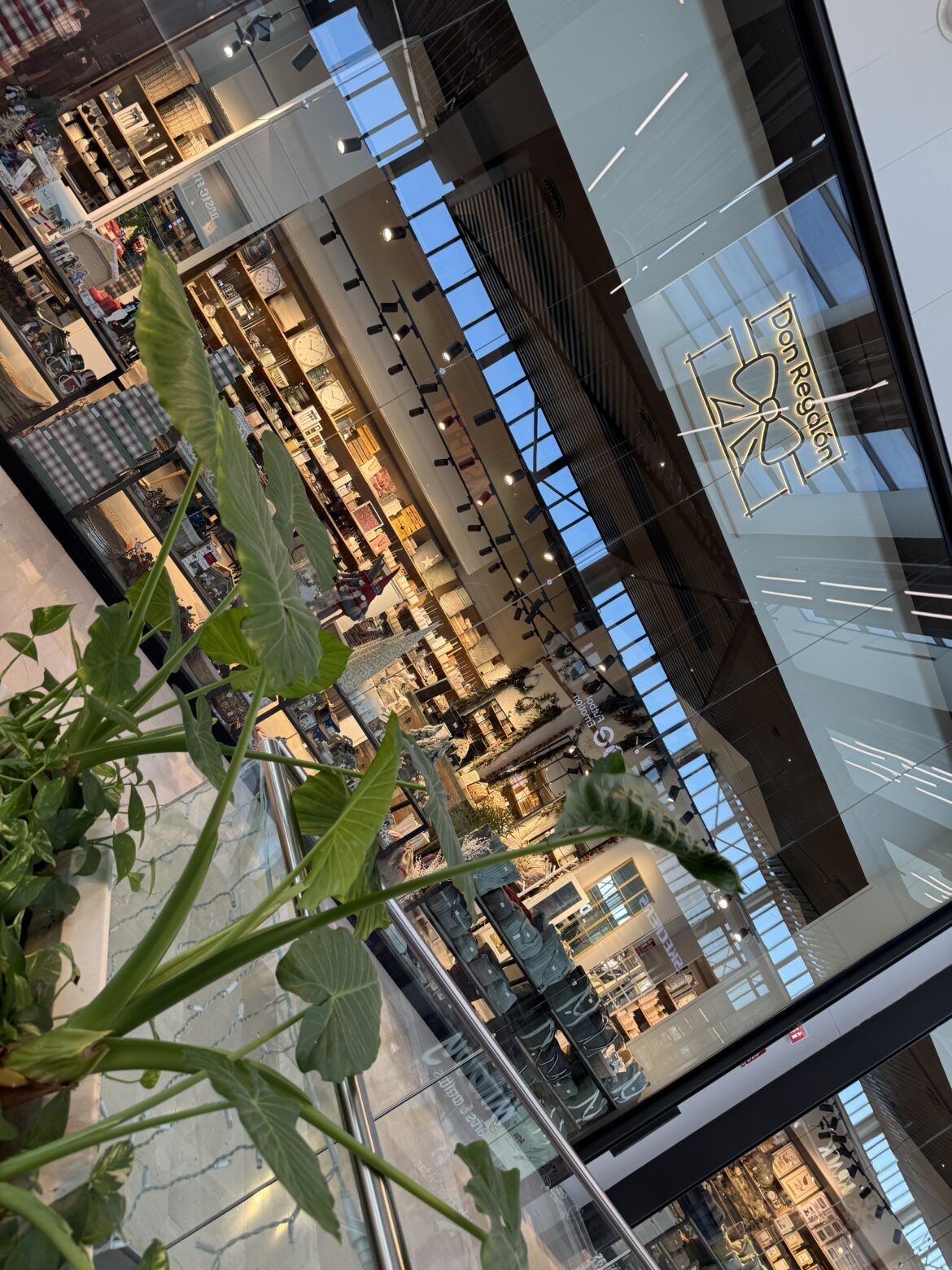 Don Regalón ‘se hace más grande’ en el centro comercial Lagoh Don Regalón 'se hace más grande' en el centro comercial Lagoh - Gastronomía y Moda