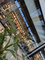 Don Regalón 'se hace más grande' en el centro comercial Lagoh - Gastronomía y Moda