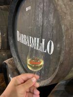 Sanlúcar de Barrameda, Jerez de la Frontera y Cádiz by #AndalucíaDespierta - Gastronomía y Moda
