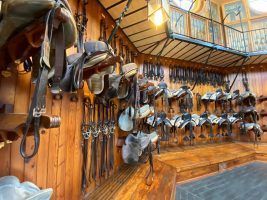 Sanlúcar de Barrameda, Jerez de la Frontera y Cádiz by #AndalucíaDespierta - Gastronomía y Moda