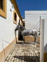 Sanlúcar de Barrameda, Jerez de la Frontera y Cádiz by #AndalucíaDespierta - Gastronomía y Moda