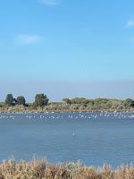 Sanlúcar de Barrameda, Jerez de la Frontera y Cádiz by #AndalucíaDespierta - Gastronomía y Moda