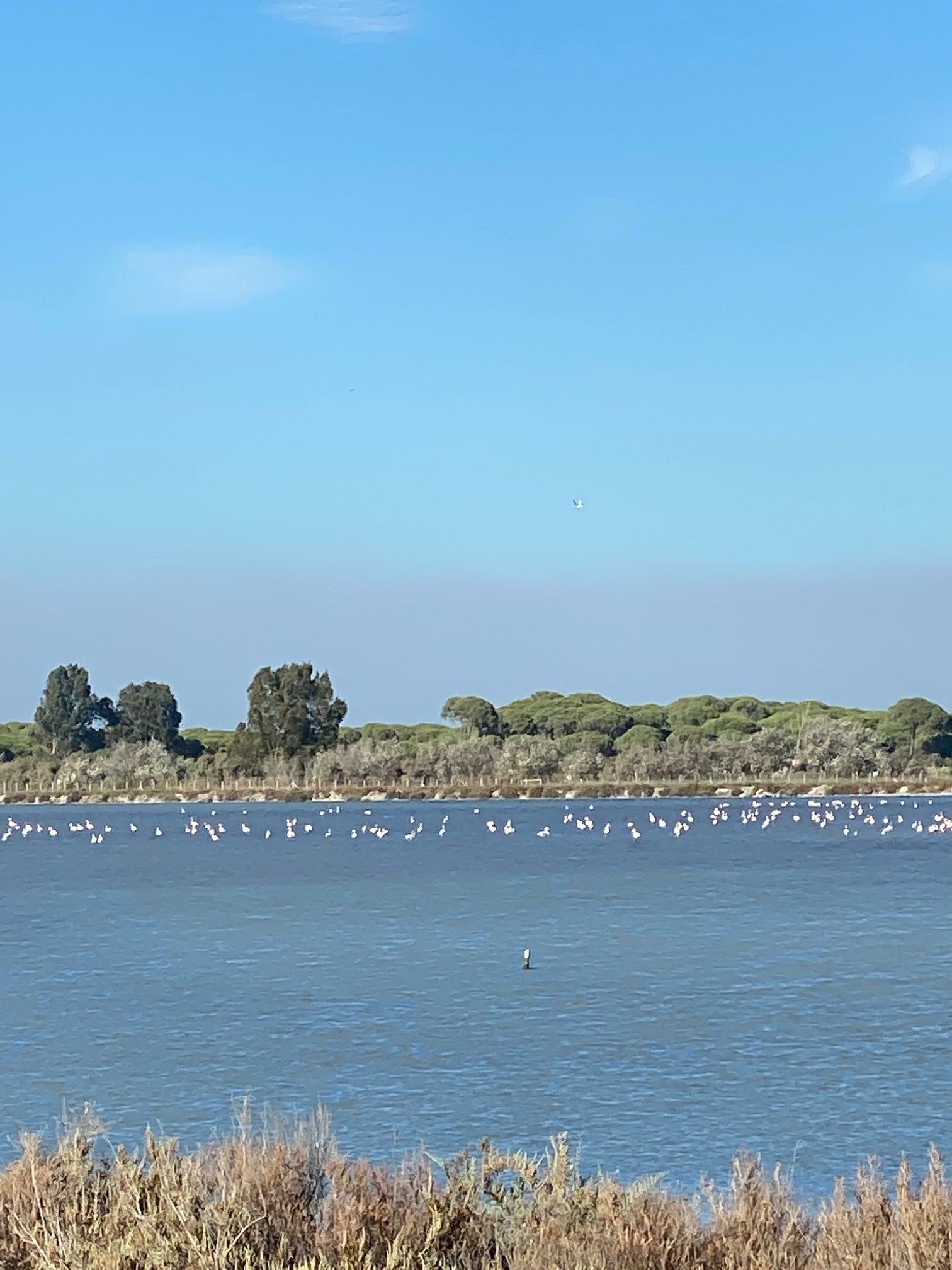 Sanlúcar de Barrameda, Jerez de la Frontera y Cádiz by #AndalucíaDespierta - Gastronomía y Moda