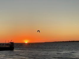 Sanlúcar de Barrameda, Jerez de la Frontera y Cádiz by #AndalucíaDespierta - Gastronomía y Moda