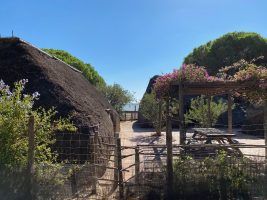 Sanlúcar de Barrameda, Jerez de la Frontera y Cádiz by #AndalucíaDespierta - Gastronomía y Moda