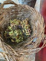 Sanlúcar de Barrameda, Jerez de la Frontera y Cádiz by #AndalucíaDespierta - Gastronomía y Moda