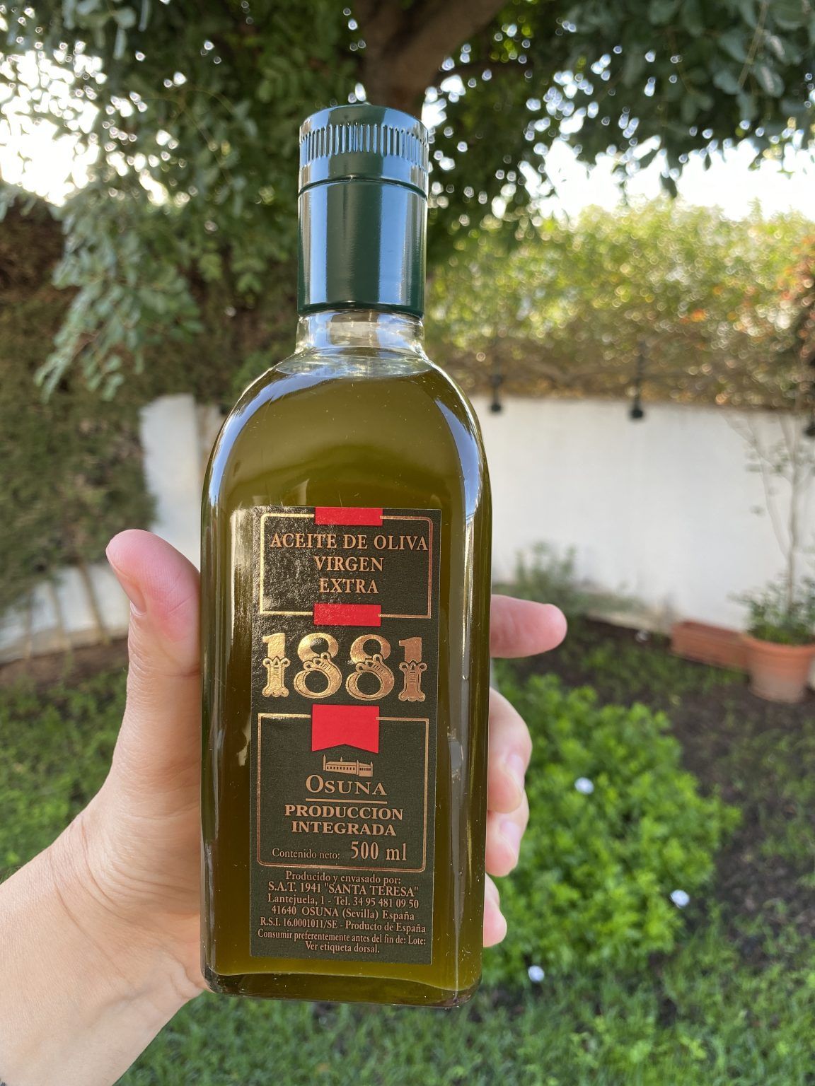 Aceite 1881, el AOVE de calidad listo para utilizar en las mejores recetas - Gastronomía y Moda