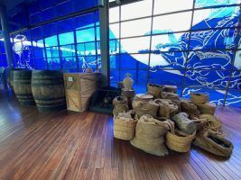 Sanlúcar de Barrameda, Jerez de la Frontera y Cádiz by #AndalucíaDespierta - Gastronomía y Moda