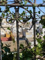 Sanlúcar de Barrameda, Jerez de la Frontera y Cádiz by #AndalucíaDespierta - Gastronomía y Moda