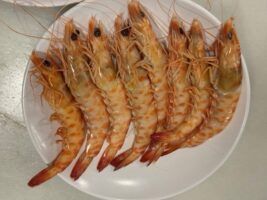 Los langostinos de Sanlúcar que Triana presume en Chiguato - Gastronomía y Moda