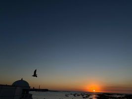 Sanlúcar de Barrameda, Jerez de la Frontera y Cádiz by #AndalucíaDespierta - Gastronomía y Moda