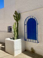 Agua Amarga, uno de los mayores pueblos con encanto de Almería - Gastronomía y Moda
