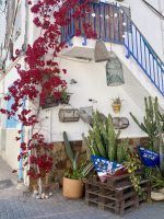 Agua Amarga, uno de los mayores pueblos con encanto de Almería - Gastronomía y Moda