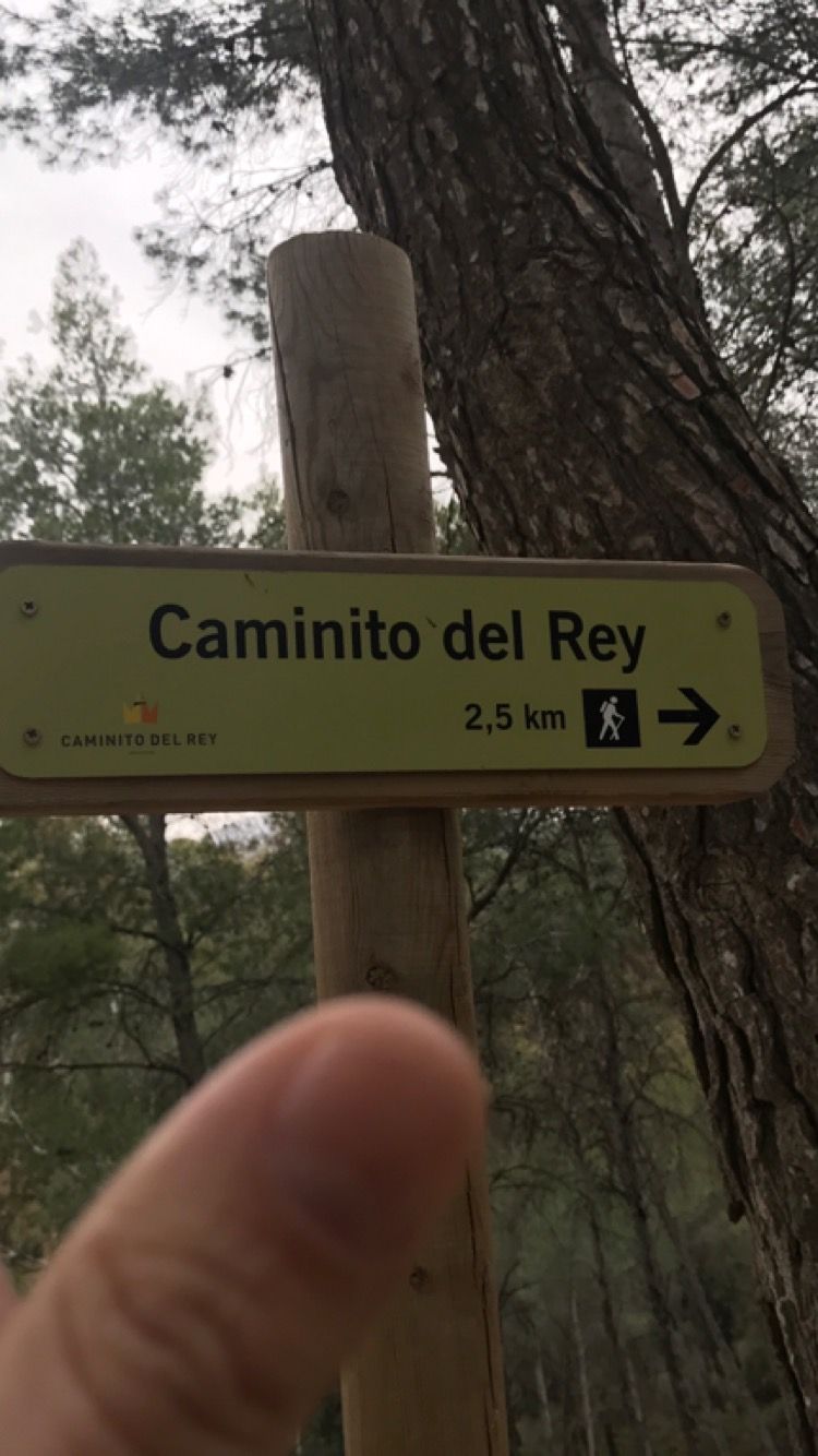 El Caminito del Rey se reabre con medidas de seguridad que garantizan la distancia entre los visitantes y la desinfección de los espacios - Gastronomía y Moda