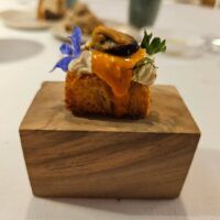 Experiencia gastronómica en Restaurante Radis: un viaje por Jaén entre raíces, AOVE y maridajes excepcionales - Gastronomía y Moda
