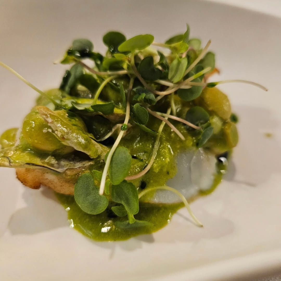 Experiencia gastronómica en Restaurante Radis: un viaje por Jaén entre raíces, AOVE y maridajes excepcionales - Gastronomía y Moda
