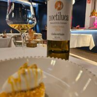 Experiencia gastronómica en Restaurante Radis: un viaje por Jaén entre raíces, AOVE y maridajes excepcionales - Gastronomía y Moda