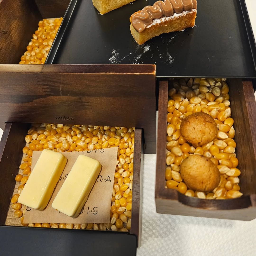 Experiencia gastronómica en Restaurante Radis: un viaje por Jaén entre raíces, AOVE y maridajes excepcionales - Gastronomía y Moda