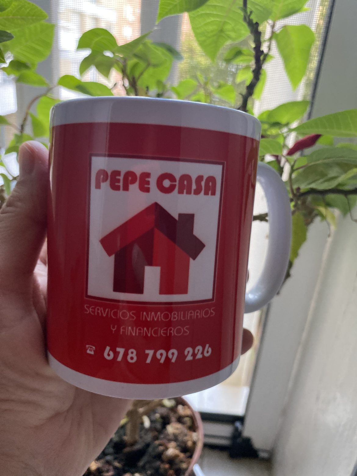Pepecasa, se consolida como una de las inmobiliarias de referencia en Sevilla y provincia - Gastronomía y Moda