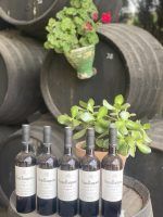 Bodegas Pérez Barquero, el olimpo de uno de los mejores vinos del mundo - Gastronomía y Moda