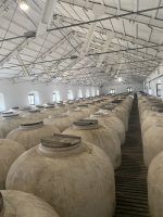 Bodegas Pérez Barquero, el olimpo de uno de los mejores vinos del mundo - Gastronomía y Moda