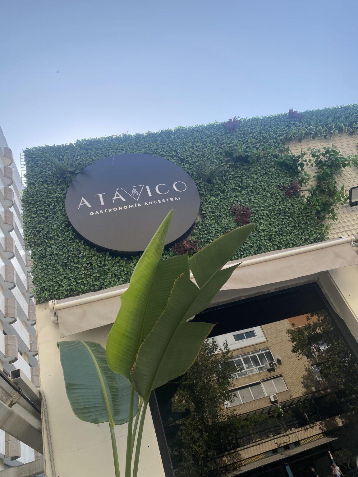 Átavico, el templo gastronómico 100% libre de gluten en Sevilla - Gastronomía y Moda