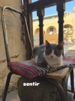 Mónica Sánchez del Monte amplía su recorrido por Egipto con nuevas experiencias entre patrimonio, paisaje y calma - Gastronomía y Moda