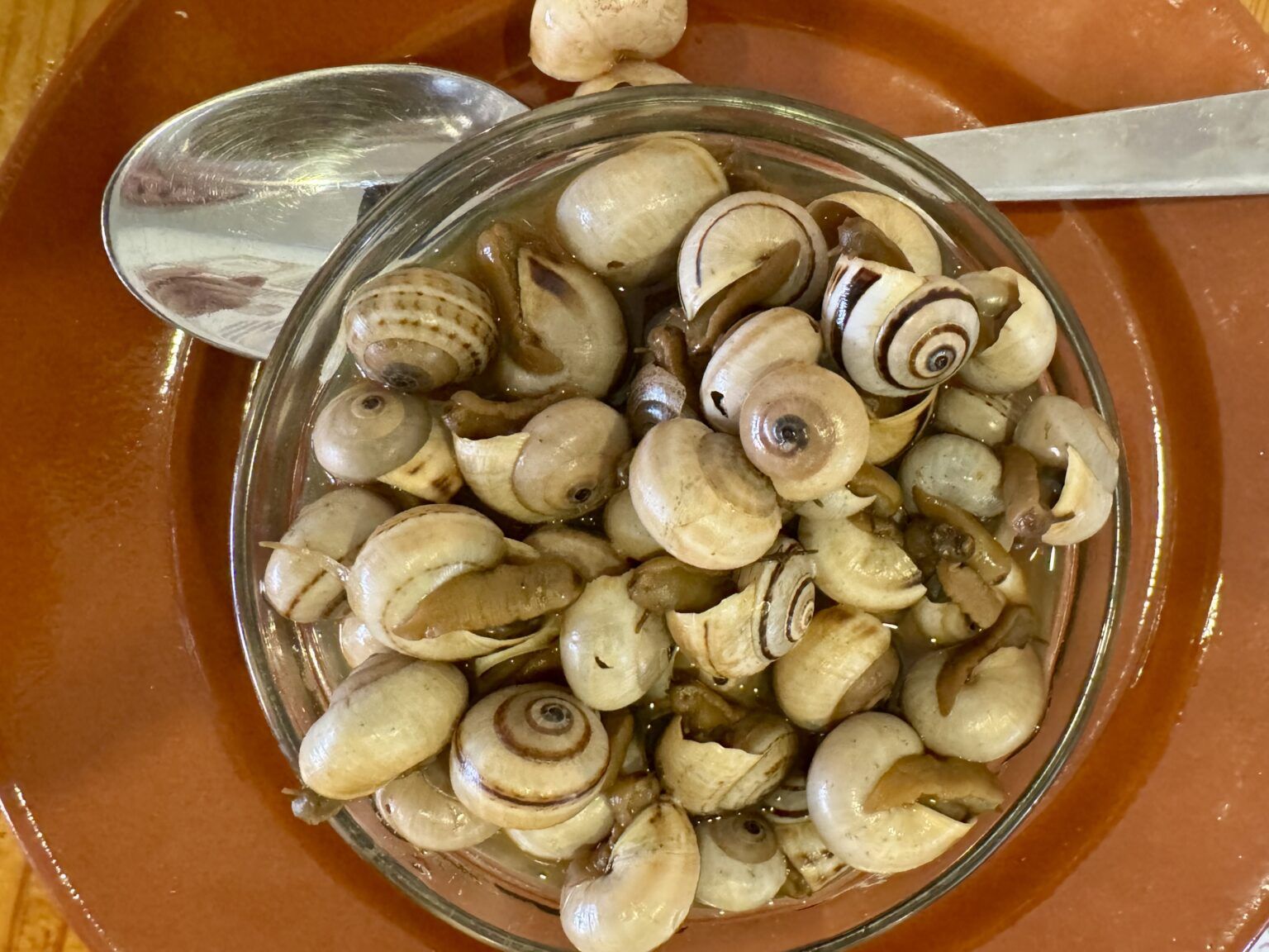 Ya hay caracoles en España: vuelve una de las temporadas gastronómicas más esperadas del año - Gastronomía y Moda