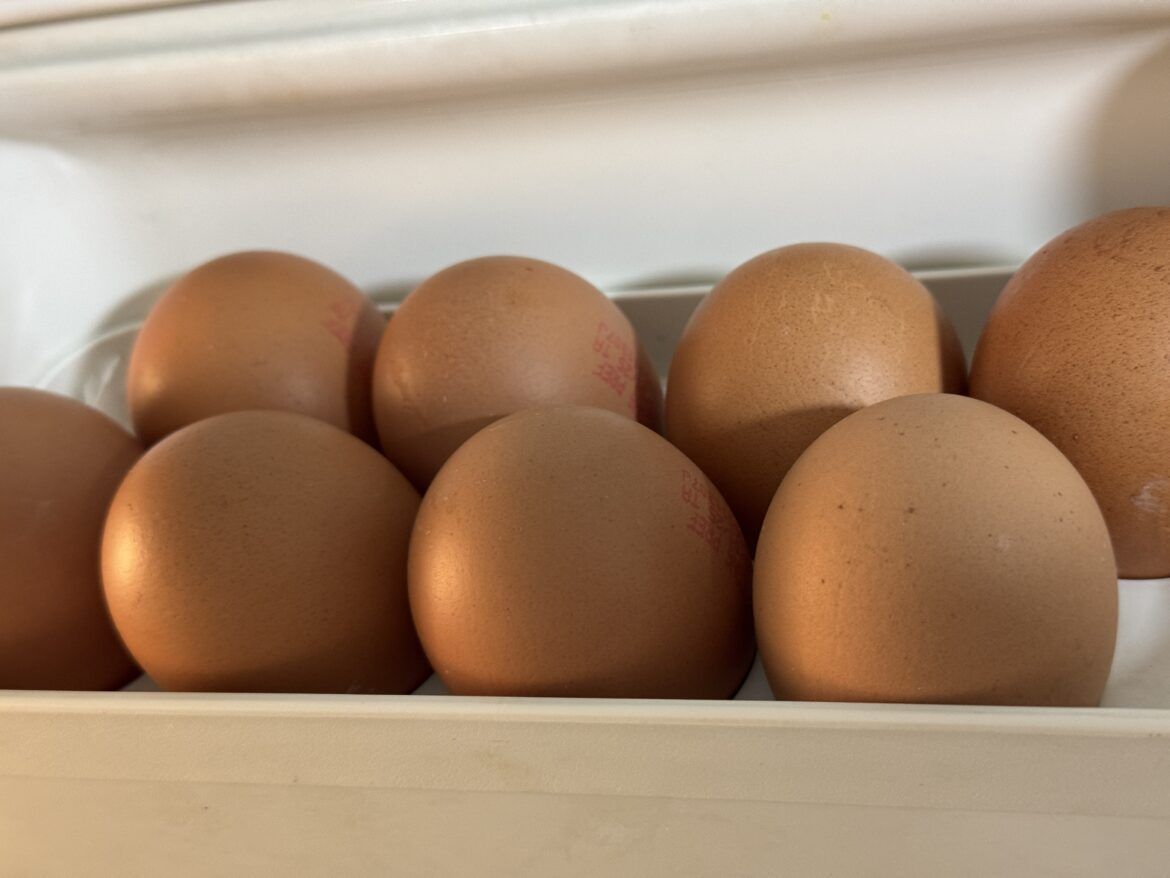 Compromiso de Mercadona con los huevos de gallinas libres de jaula - Gastronomía y Moda
