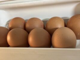 Compromiso de Mercadona con los huevos de gallinas libres de jaula - Gastronomía y Moda
