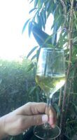 Restaurante La Piedra, visita gastronómica imprescindible en Jerez de la Frontera - Gastronomía y Moda