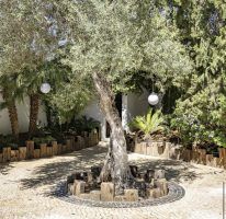 Vanessa Torres, sobre el nuevo restaurante de Ovejas Negras Company: "En Casa Limón encontrarás una amplísima carta, muy variada y a un nivel estupendo" - Gastronomía y Moda
