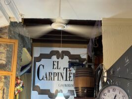El Carpintero Málaga, una parada imprescindible para tapear en pleno centro histórico - Gastronomía y Moda