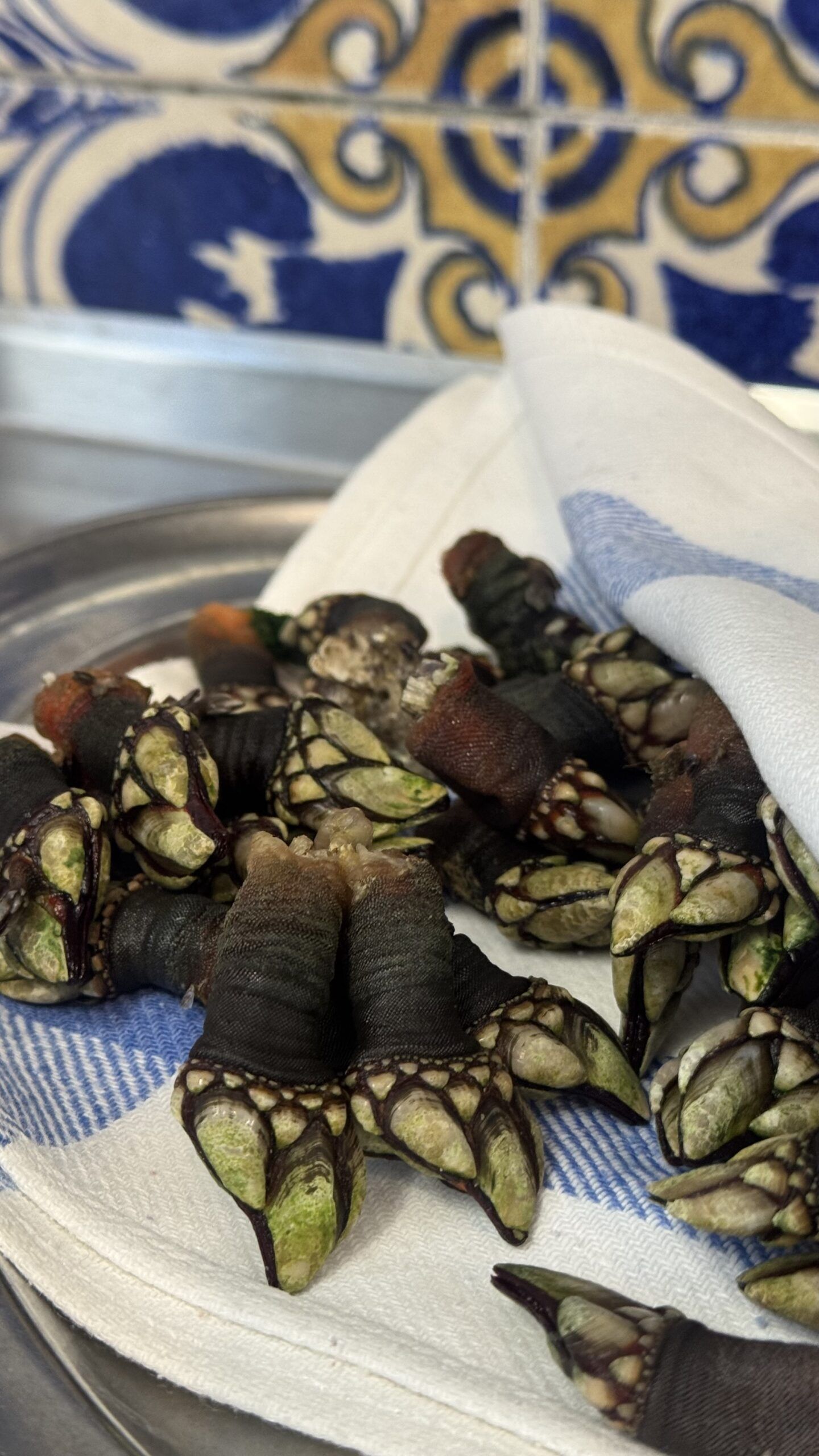 Tras el sonado apagón, Ana Rojo y Ana Sastre, disfrutaron de los mejores mariscos en El Cantábrico - Gastronomía y Moda