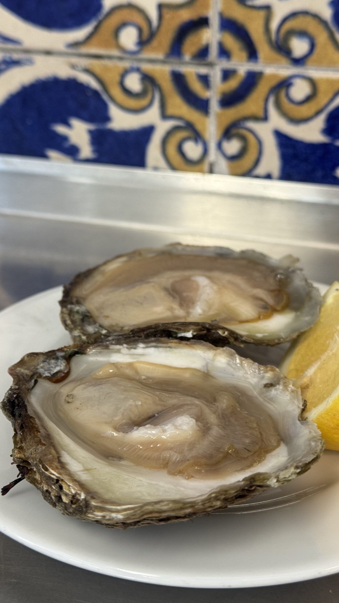 Tras el sonado apagón, Ana Rojo y Ana Sastre, disfrutaron de los mejores mariscos en El Cantábrico - Gastronomía y Moda