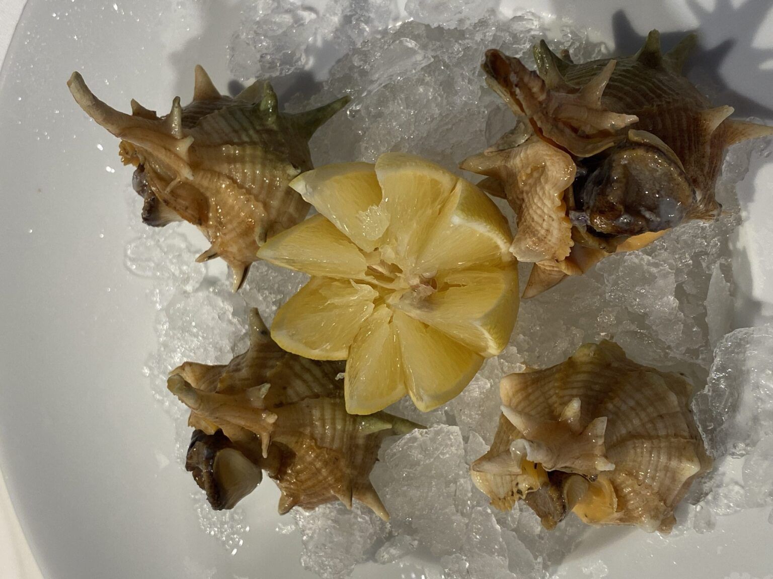 Restaurante La Isla, historia viva de Sevilla y de la mejor gastronomía de la ciudad y parte de Andalucía - Gastronomía y Moda