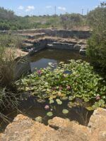 Lithica, el paisaje secreto de Menorca que parece tallado para sorprender al viajero - Gastronomía y Moda