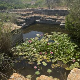 Lithica, el paisaje secreto de Menorca que parece tallado para sorprender al viajero - Gastronomía y Moda