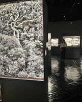 Mariló Montero "Recuperar el Amazonas es posible" - Gastronomía y Moda