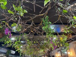 Restaurante Secuencia nueve, gastronomía 10 - Gastronomía y Moda