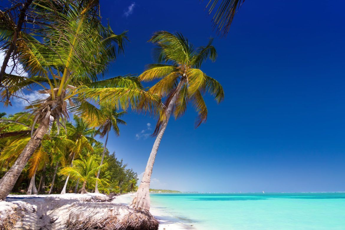 Descubre el paraíso de Punta Cana con una oferta muy especial en Travelzon - Gastronomía y Moda