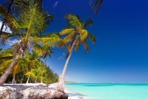 Descubre el paraíso de Punta Cana con una oferta muy especial en Travelzon - Gastronomía y Moda