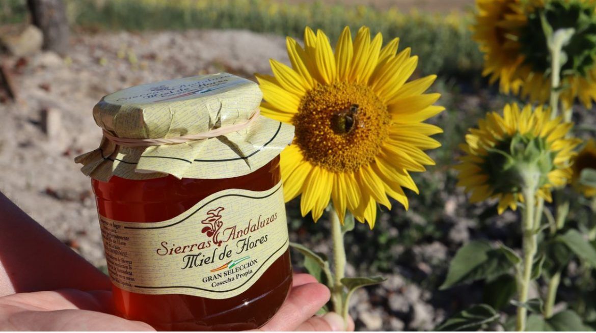 Sierras Andaluzas, la cooperativa de miel más importante de Andalucía Miel ecológica Sierras Andaluzas, la cooperativa de miel más importante de Andalucía - Gastronomía y Moda