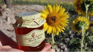 Miel ecológica Sierras Andaluzas, la cooperativa de miel más importante de Andalucía - Gastronomía y Moda