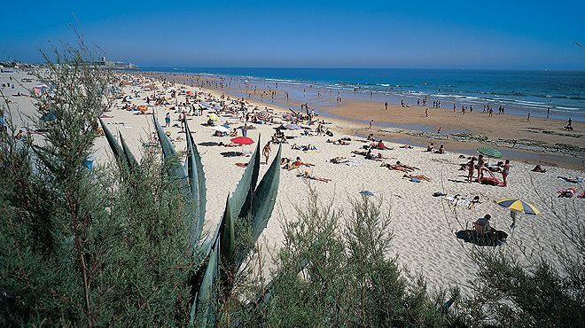 Un verano para tod@s en Lisboa - Gastronomía y Moda