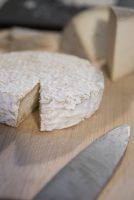 Con León todo sabe mejor - Gastronomía y Moda