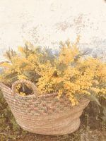 Llega la primavera by Mónica Sánchez del Monte - Gastronomía y Moda