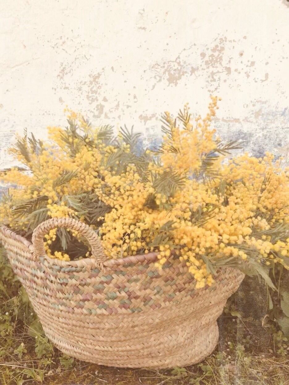 Llega la primavera by Mónica Sánchez del Monte - Gastronomía y Moda