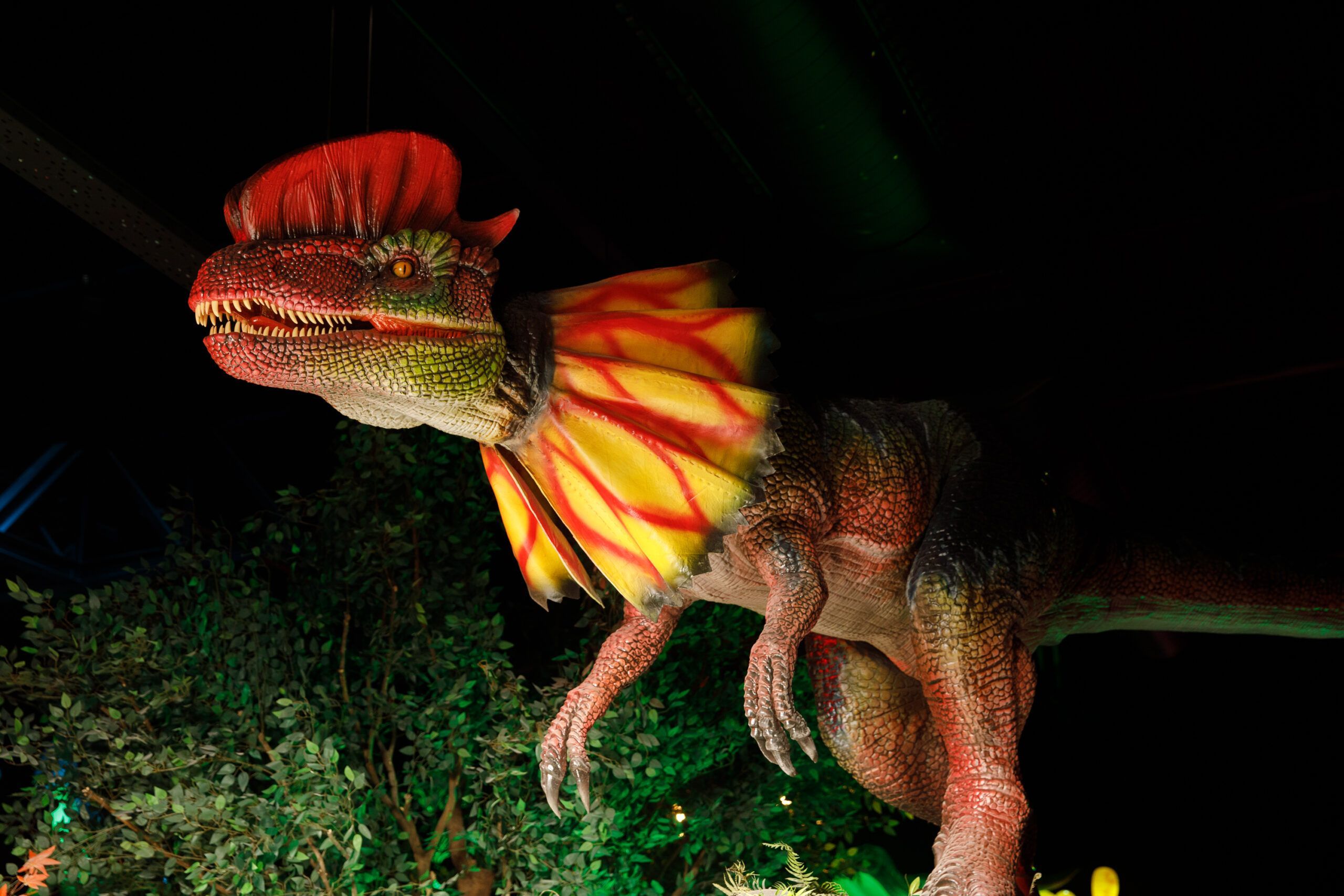 Amazing Dinosaurios convierte Valencia en el gran epicentro del ocio familiar con una experiencia única - Gastronomía y Moda